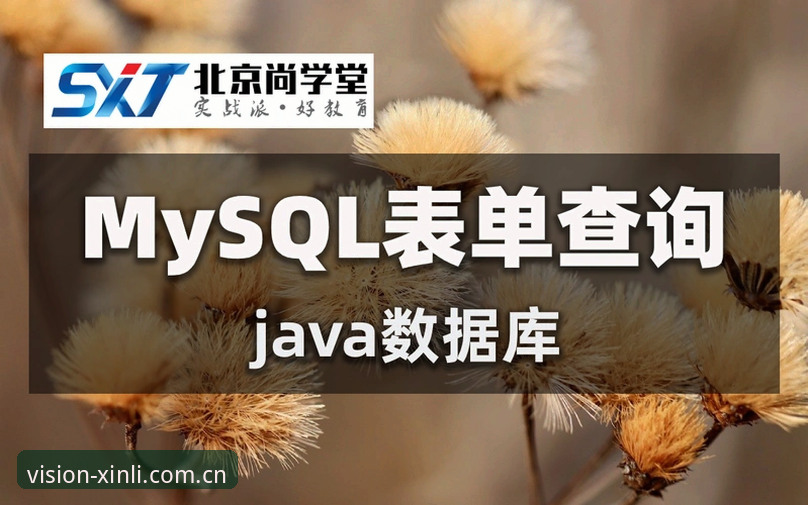 新利体育平台快速访问路径详解：从登录到数据查询的实用指南